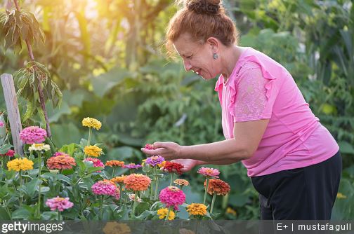 jardinage-comment-eviter-mal-de-dos-conseils